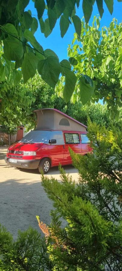 Camping El Pinar Platja サンタ・スサナ エクステリア 写真